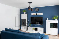 Untitled design - 1